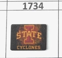 1734- Iowa State Focal Bead