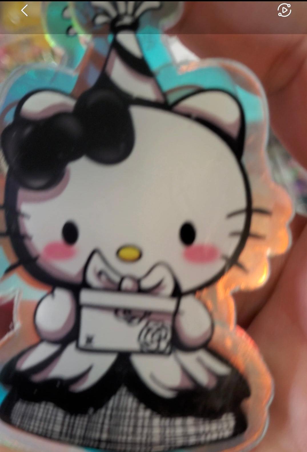 Black and White Kitty Acrylics