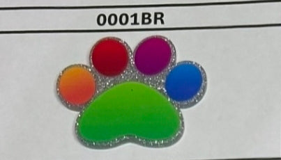 0001BR Rainbow Paw