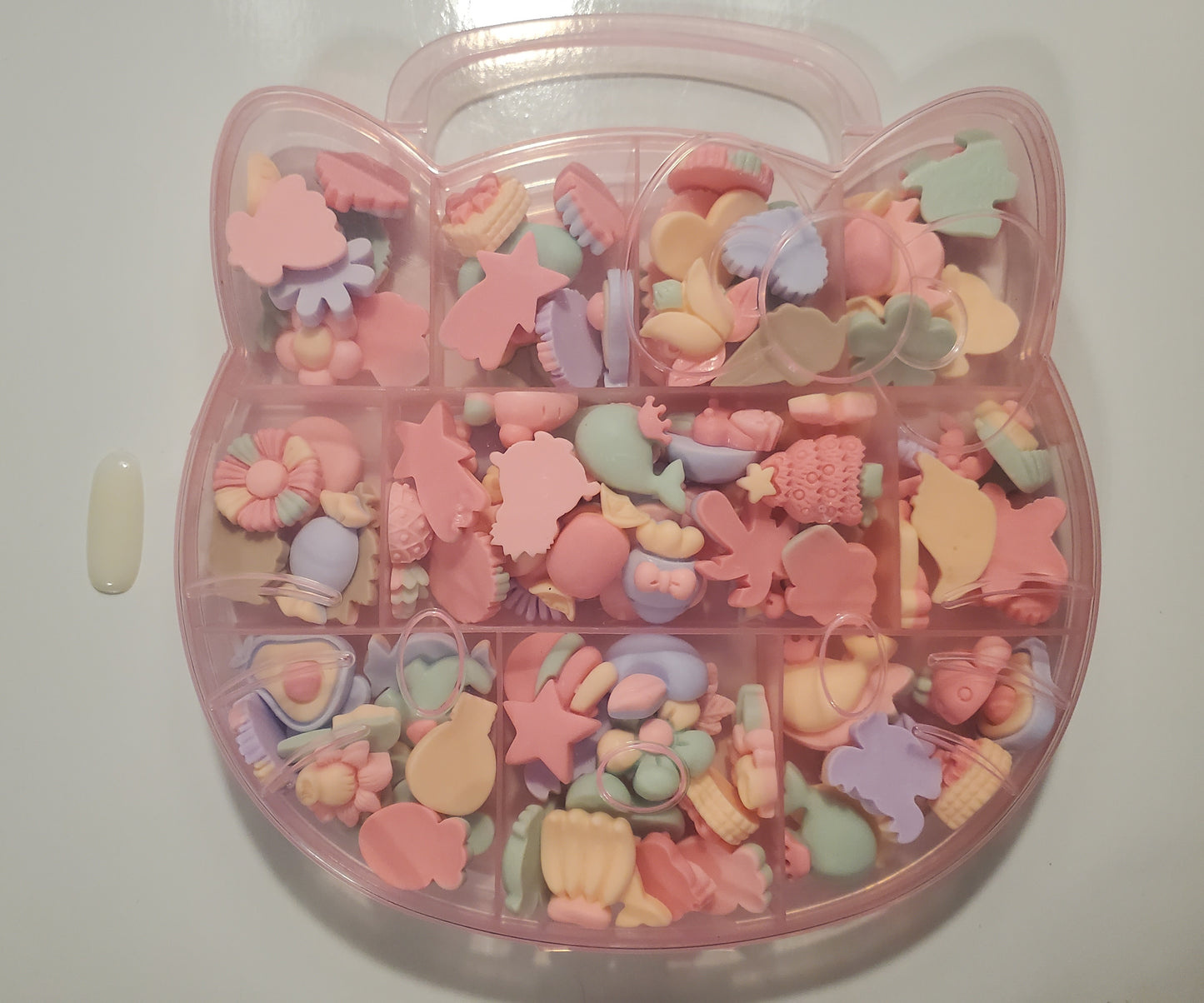 100 pc Charm Box