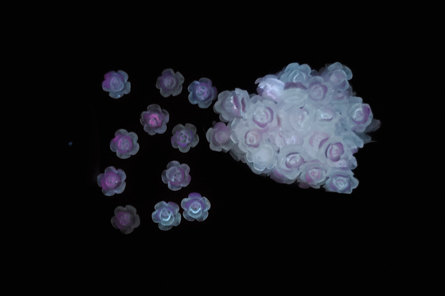 Luminous Flowers