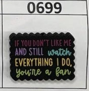 0699- If you Don't Like me and Still Watch Focal Bead
