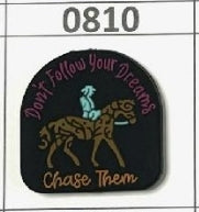 0810-  Don't Follow Your Dreams  Chase Them Focal Bead
