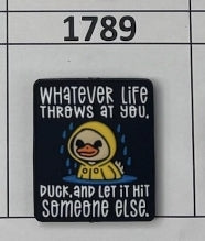 1789- Whatever Life Throws Focal Bead