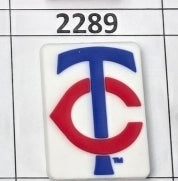 2289- Minn Twin Focal Bead