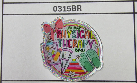 0315BR Physical Therapy Ear