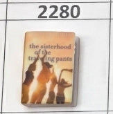 2280- Sisterhood of Traveling Book Focal Bead