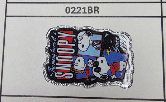 0221BR Snoop